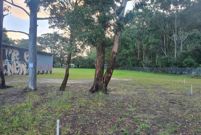 Photo of Community Land at Ettalong Beach