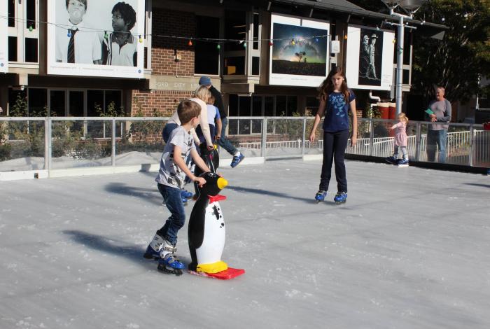 Photo of Winter in the Park event