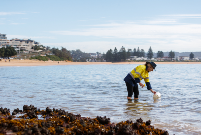 Terrigal and Coastal Lagoons Audit