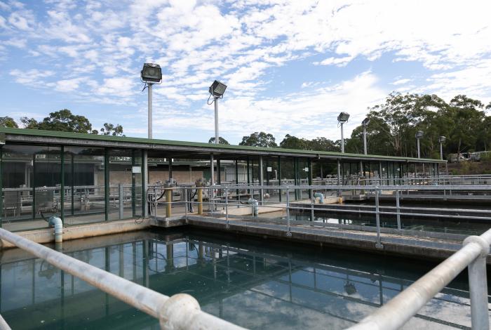 Draft Drinking Water Policy and Draft Recycled Water Quality Policy