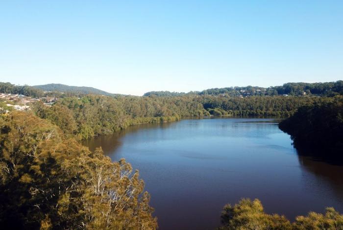 Terrigal Lagoon Trail