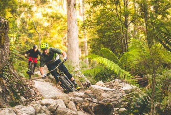 Person mountain biking. Photo: World Trail